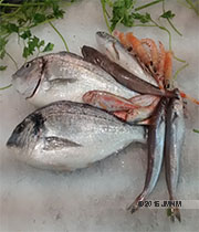 Foto pescado